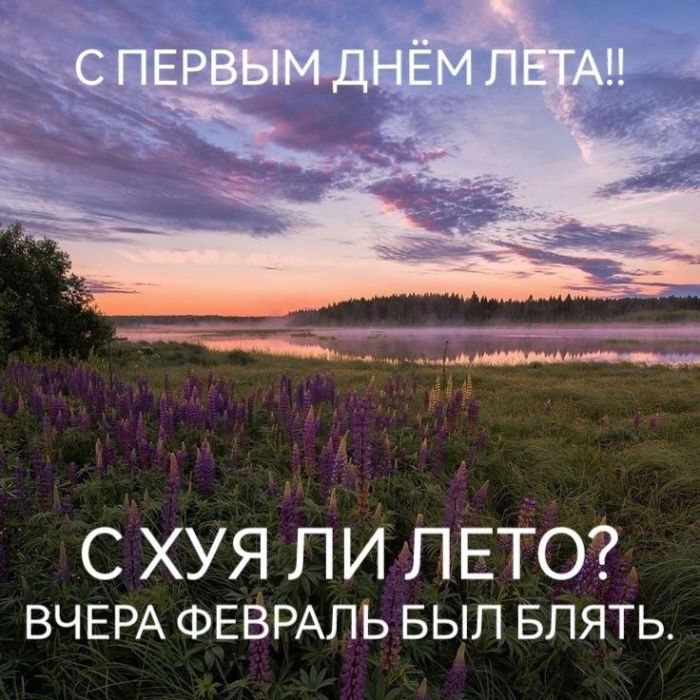 картинка 94b77d95f1 1780290838