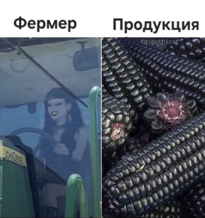 картинка 962a7118e4 0000000000
