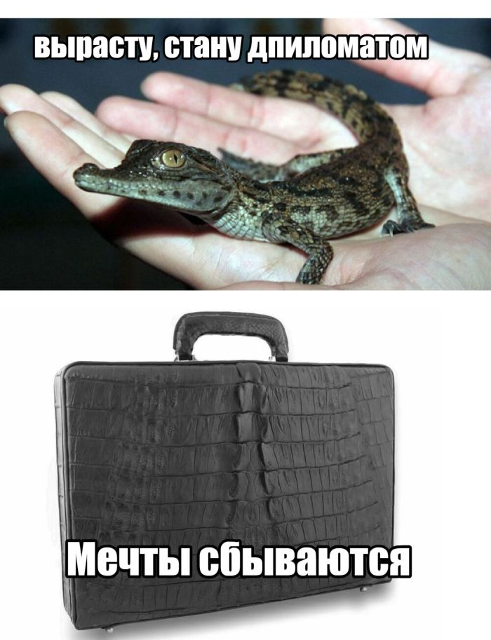 картинка 96a4014c5a 000000000000000000000