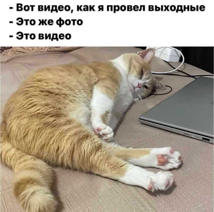 картинка 99d2c39576 00000