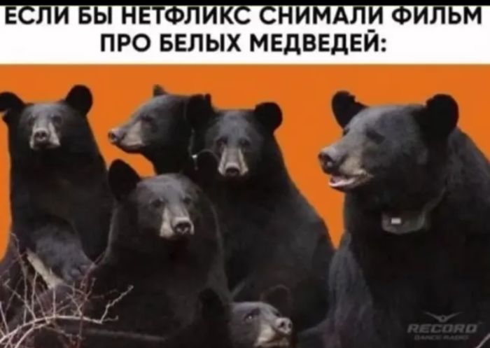 картинка 9fb6fc7968 1780464518