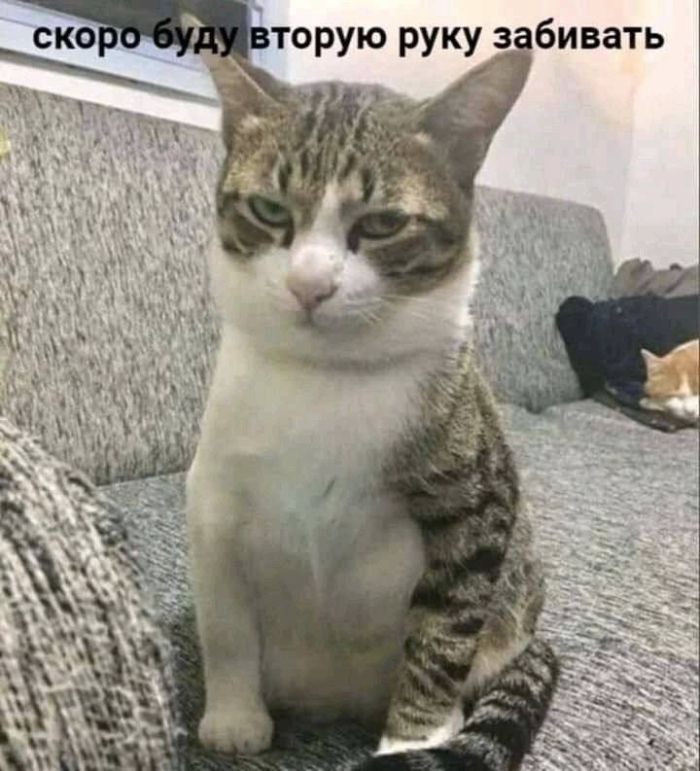 картинка a0311d748e 21038659