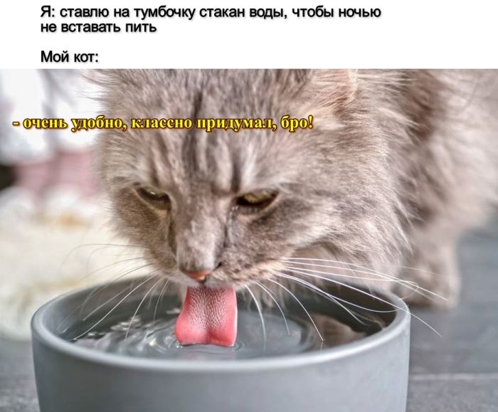 картинка a080577c7e 0000