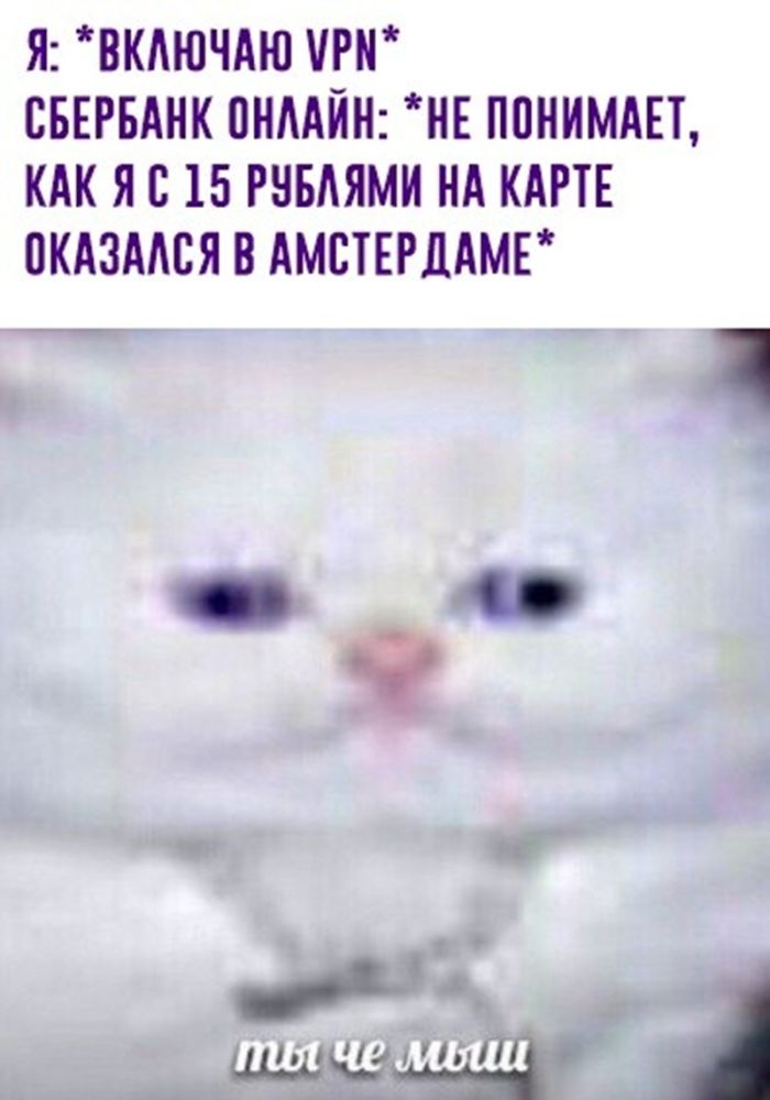 картинка a2953bda48 vnimanie ceniteli ostrogo slovca 27