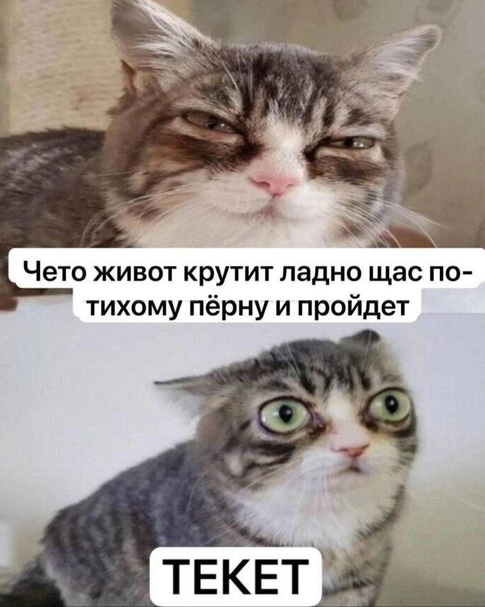 картинка a37b548727 000000