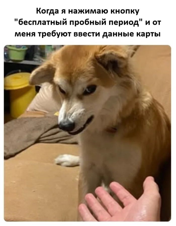 картинка a62418256e 000000