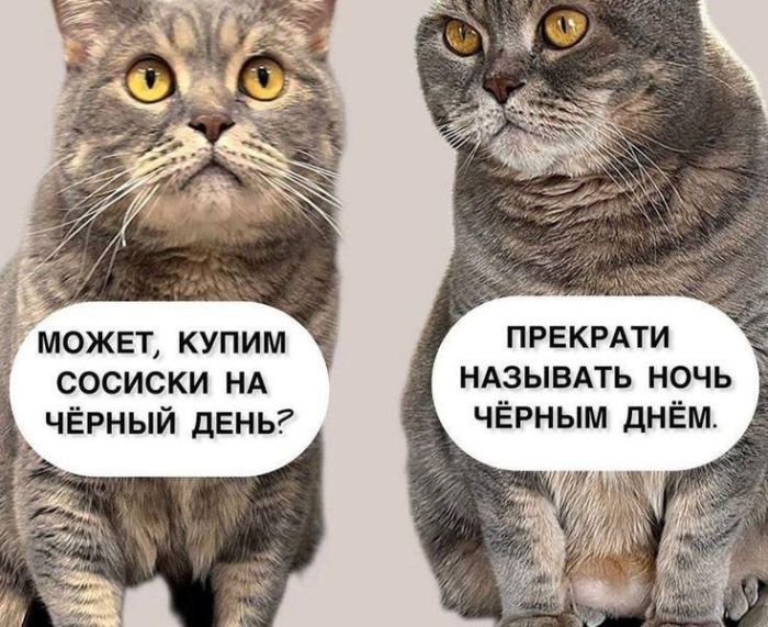 картинка a7578d0bce 000000000000000000000000