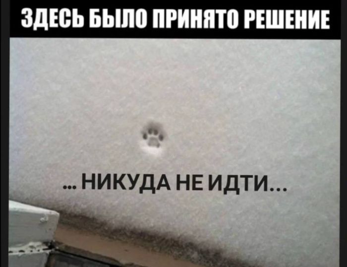 картинка ac14a9b5a4 1780377903