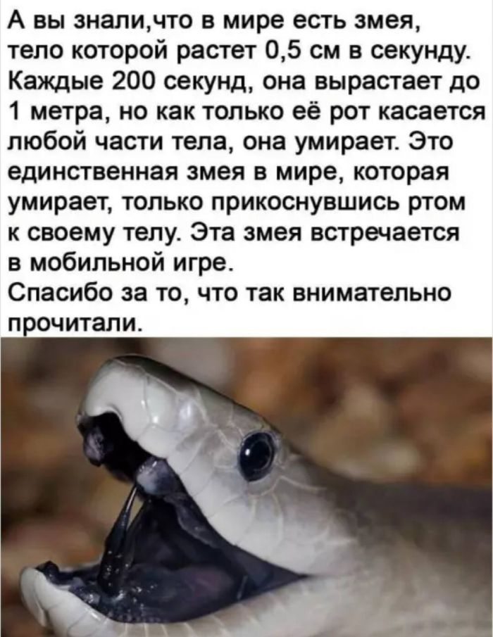 картинка b58134a841 21038553
