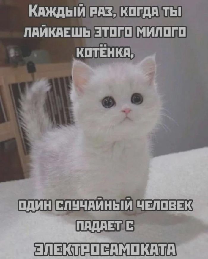 картинка babd812384 0000000000000