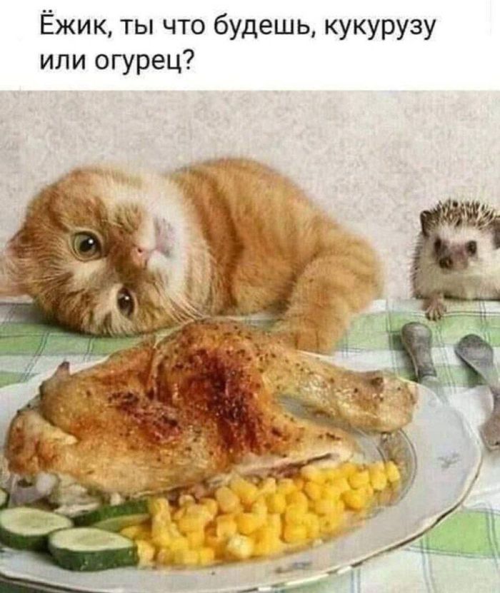 картинка c6000523e9 chernyj jumor kogda smeh skvoz slezy jeto norma 11