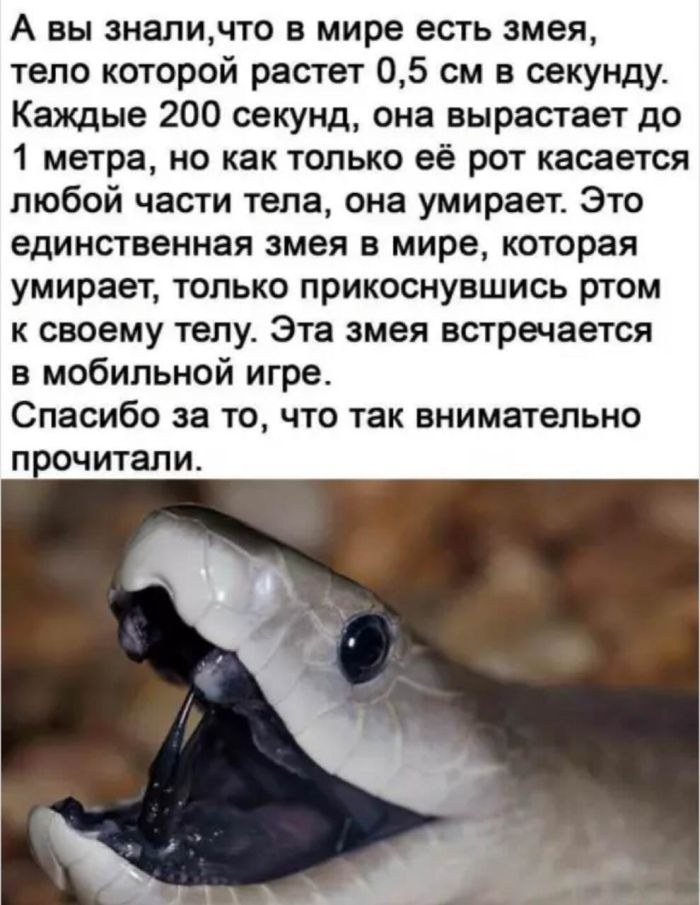 картинка cc19d7bfb4 ura pjatnica 15