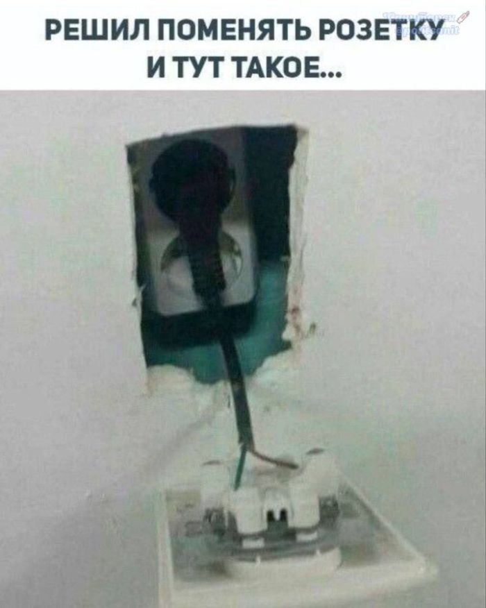 картинка cd9ccff624 1782019307