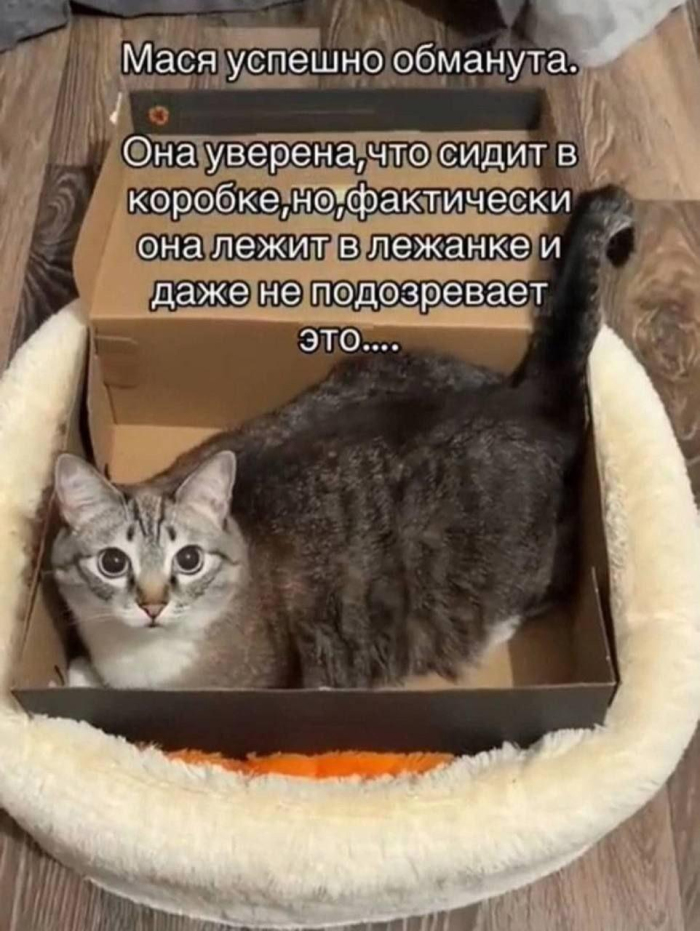 картинка cf4066759d 00000000000000000000