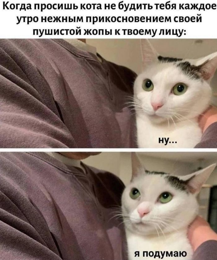 картинка ddf2b595b1 0000000000000000000