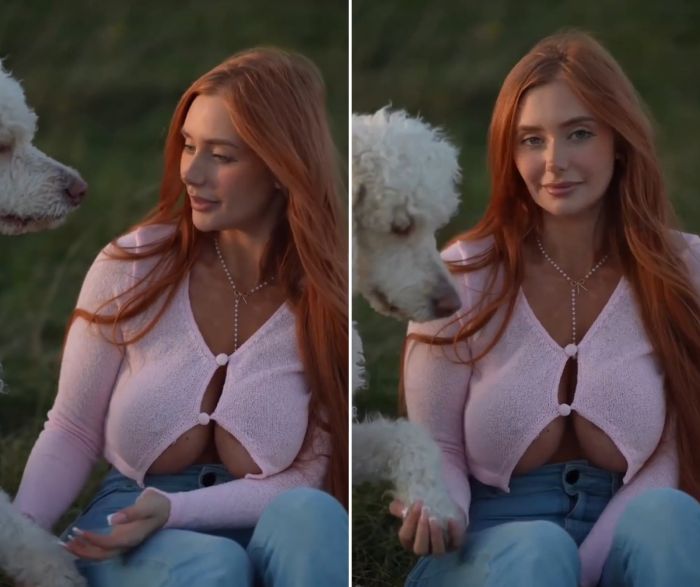 Дай лапу верный друг