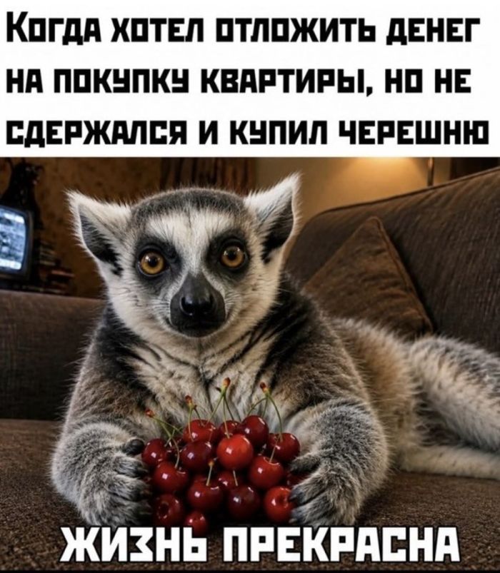 картинка def0882725 vnimanie ceniteli ostrogo slovca 8
