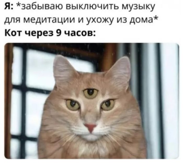 картинка dfe81d65b8 temnyj smeh sbornik chernogo jumora dlja teh kto gotov k vyzovu 21
