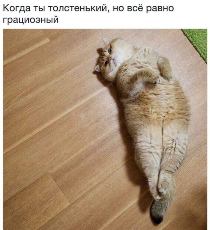 картинка dffc824f01 000