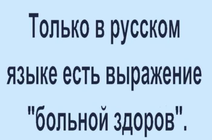картинка e13b1e9956 21038552