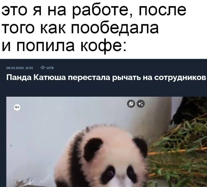 картинка e48ab9a5e8 svezhaja porcija smeha iz seti memy i kommentarii kotorye tochno podnimut nastroenie 7