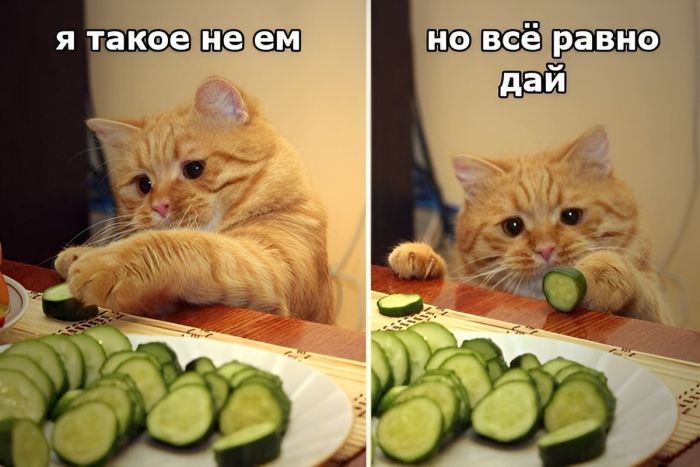 картинка e9a8fa33da pjatnica my tebja zhdali lovi porciju pozitiva chtoby dozhit do vyhodnyh 6