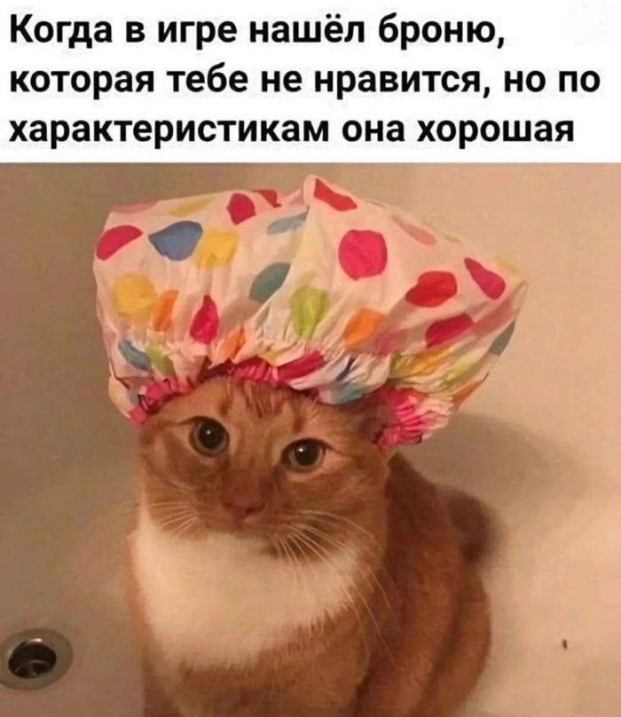картинка e9b6c76775 1781413751