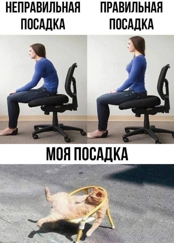 картинка ef01acab33 000