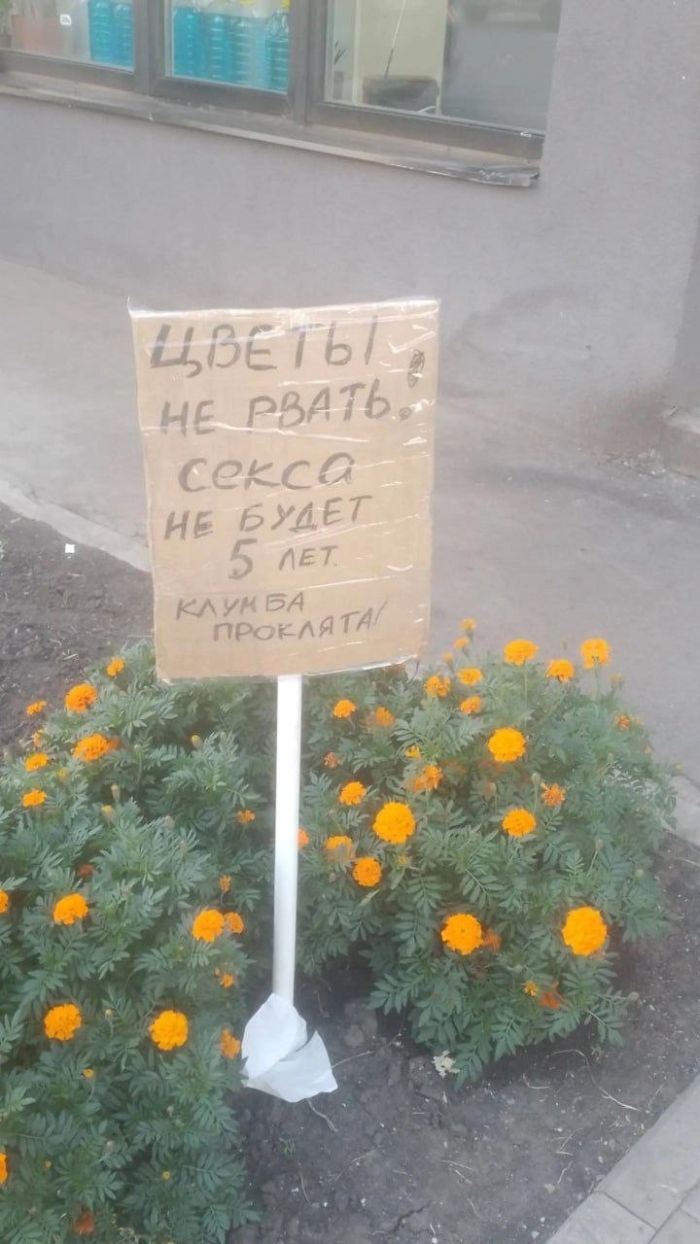 картинка f6d2ea9176 novyj sbornik shutok i memov na seredinu nedeli zarjadites pozitivom 00