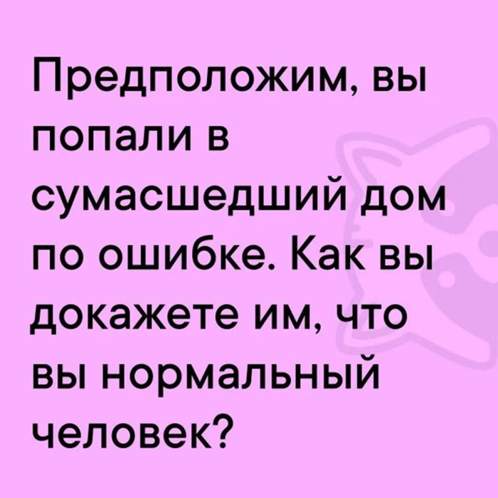 Понедельник – не приговор, а повод для смеха! 🚀