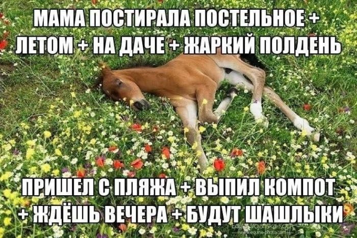 картинка f9a5e4673e 00000