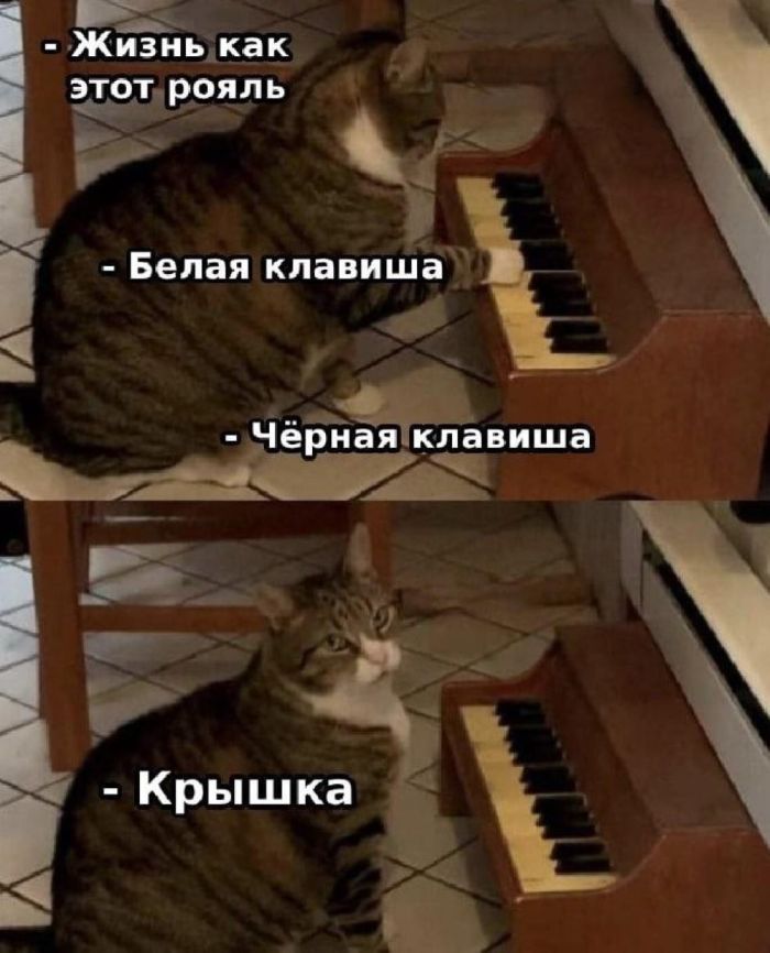 картинка fbe3bc5cca novyj sbornik samyh smeshnyh memov zarjazhaemsja pozitivom 11