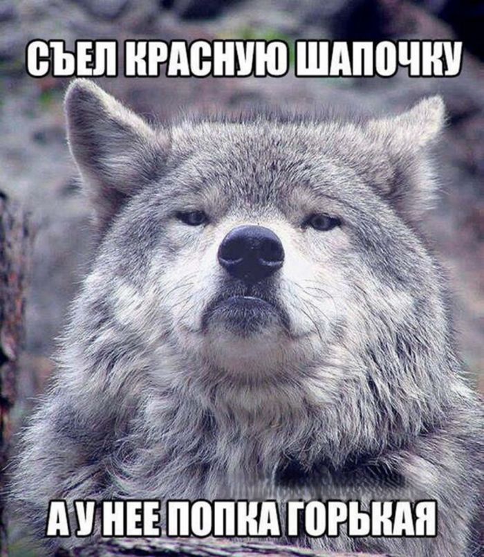 картинка ffbba74925 0000000000000000000000000000