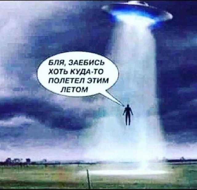 картинка 009a91b31a 21076309