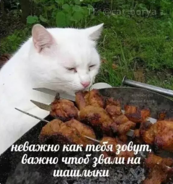 картинка 00a15404eb 21088238