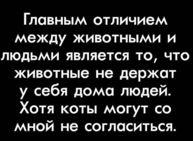 картинка 00d788dcfb 21106729