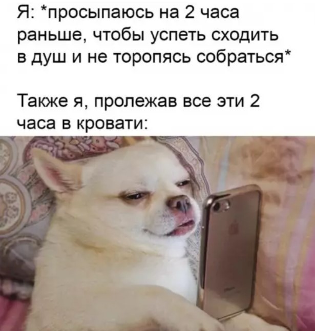 картинка 03b5b5b21f 21088235
