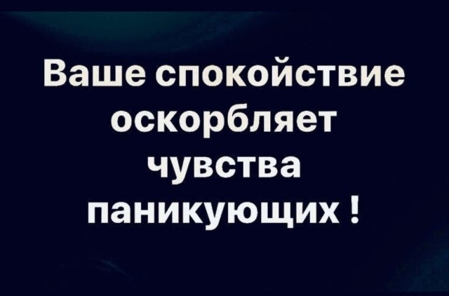 картинка 03f254a7cb 21091744