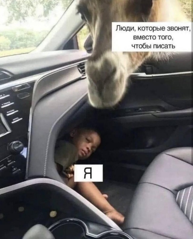 картинка 045c111f8f 21061544