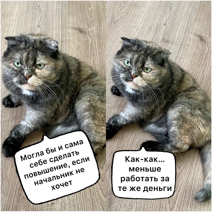 картинка 07b6a51db6 0000000000000