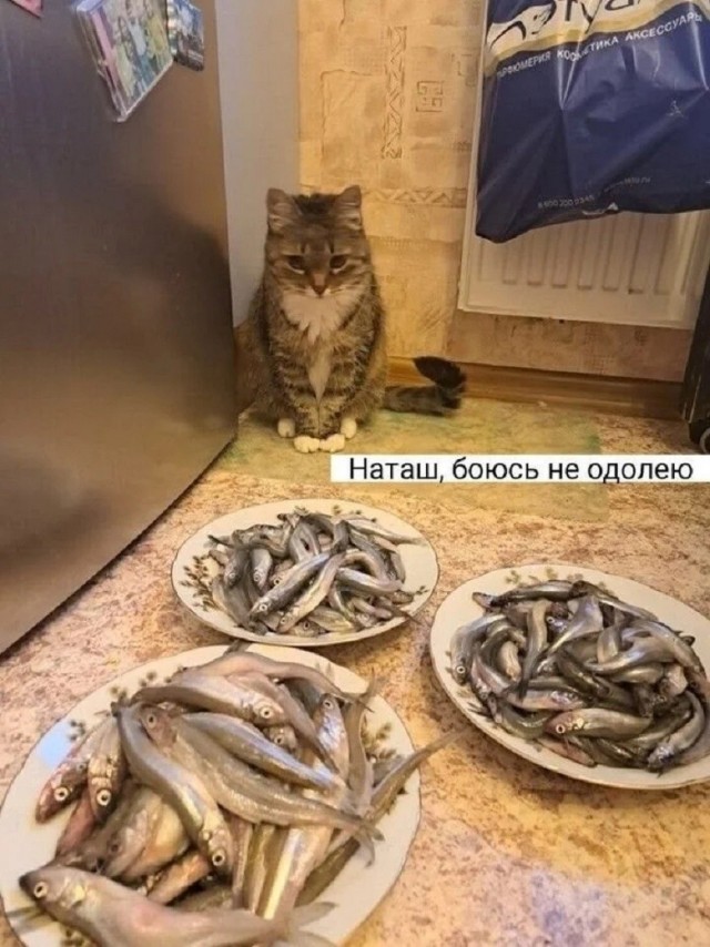 Выходные — это маленькая жизнь, и прожить её нужно с улыбкой! 😊 знаем, новый, ☕️✨Погнали, вместе, настроением, отличным, заряжайтесь, покрепче, наливайте, поудобнее, Устраивайтесь, мемов, приколов, сборник, собрали, иногда, Поэтому, недели, рабочей, после