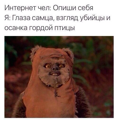 картинка 0b271b76c1 21076946