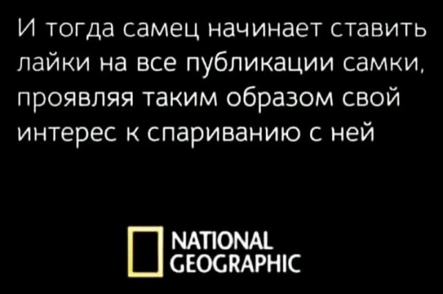 картинка 0ebbc452bc 21106682
