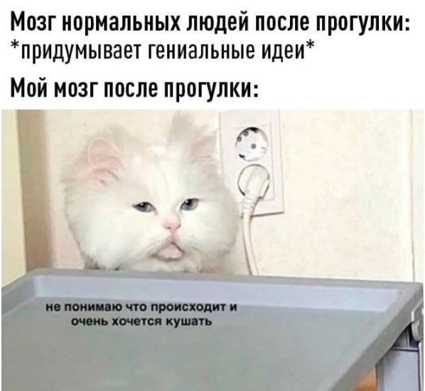картинка 0ebc9bf29b 21058508