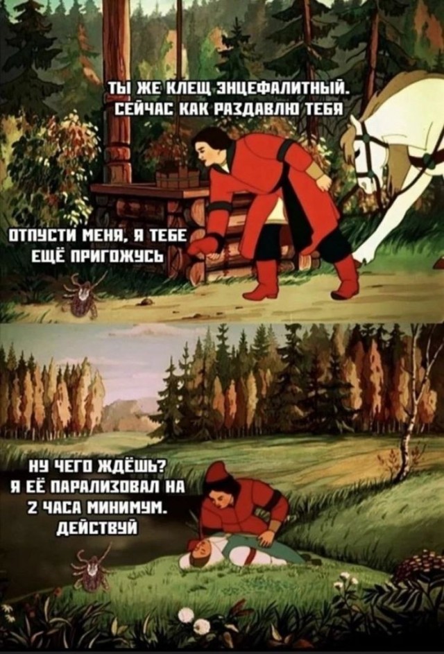 картинка 0f0838eef5 21091403