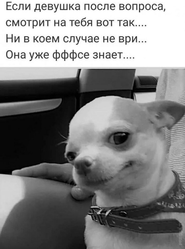 картинка 11a89208e8 21090836