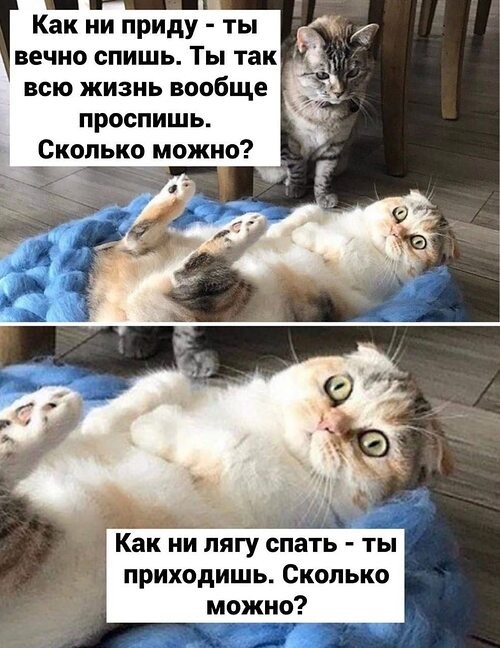 картинка 12d45f9978 21091401