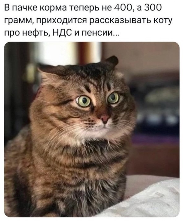 картинка 13b264f18b 21058506