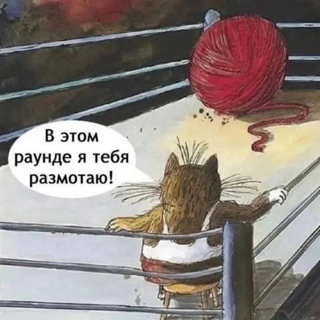 картинка 14fcc001d6 21091913