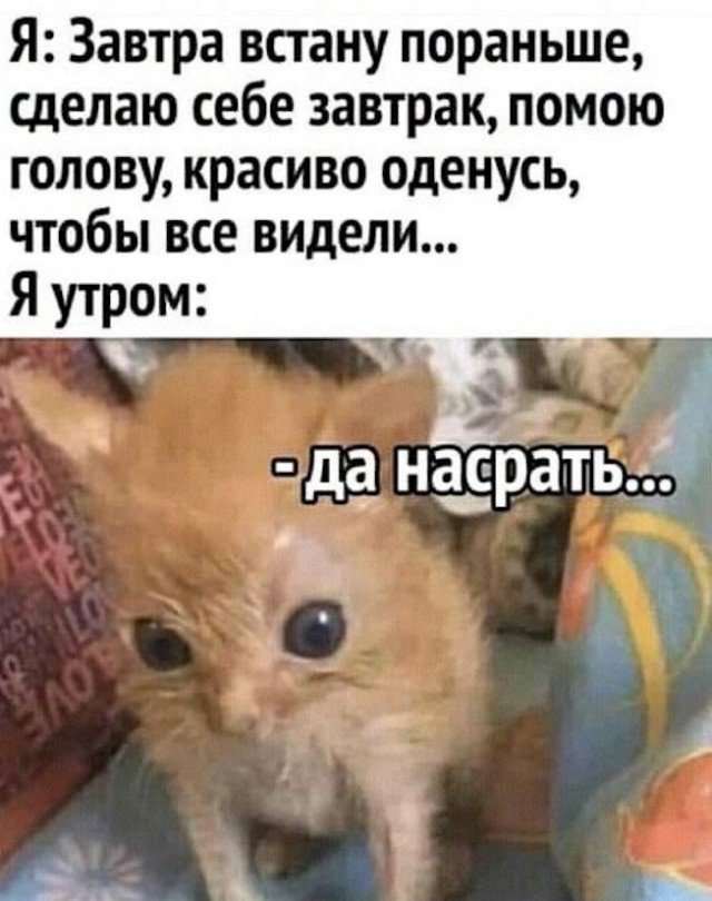Улыбнись этому дню! Сборник самых смешных мемов и прикольных картинок для твоего позитива! которые, точно, заставят, самые, уморительных, собрали, чтобы, сказать, абсурдный, повороты, интерпретациюНеожиданные, смешную, подарили, каждым, происходят, моменты, бывает, юмораСитуации, когда, шедевр
